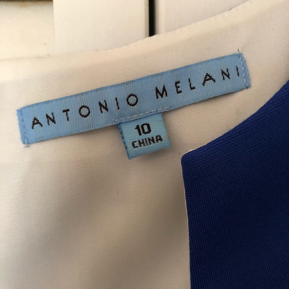 Antonio Melani Blue Sleeveless Sheath - Picture 6 of 9
